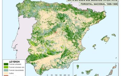 Gestión de recursos Forestales en España