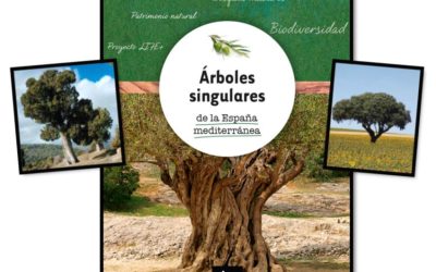 Libro «Árboles singulares de la España mediterránea»