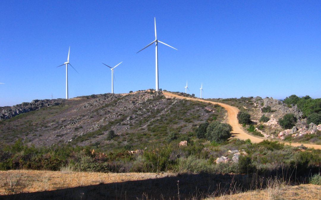 Evaluación de Impacto Ambiental Ordinaria