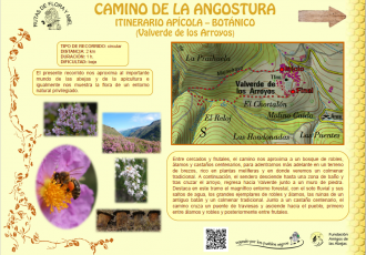 Cartel-Ruta-Flora-330x230
