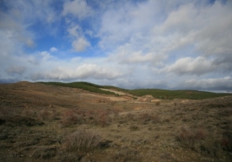 IMG_3791-330x230